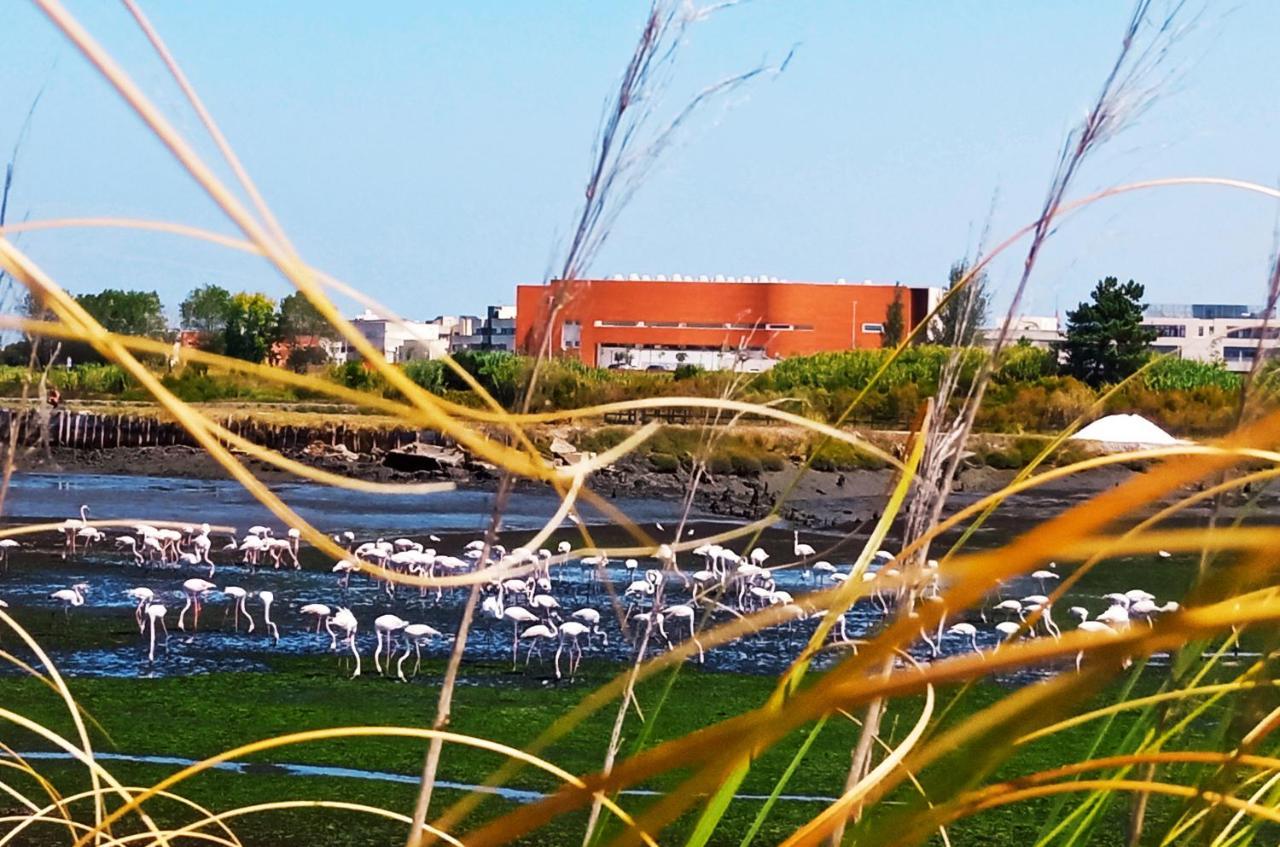 Aveiro, Ria E Arte Apartamento Exterior foto
